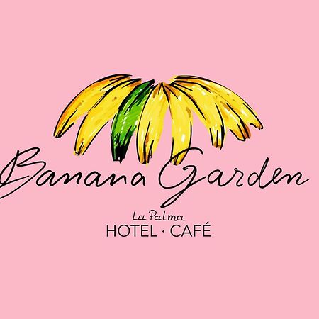 圣克鲁斯-德拉帕尔马 Banana Garden La Palma酒店 外观 照片