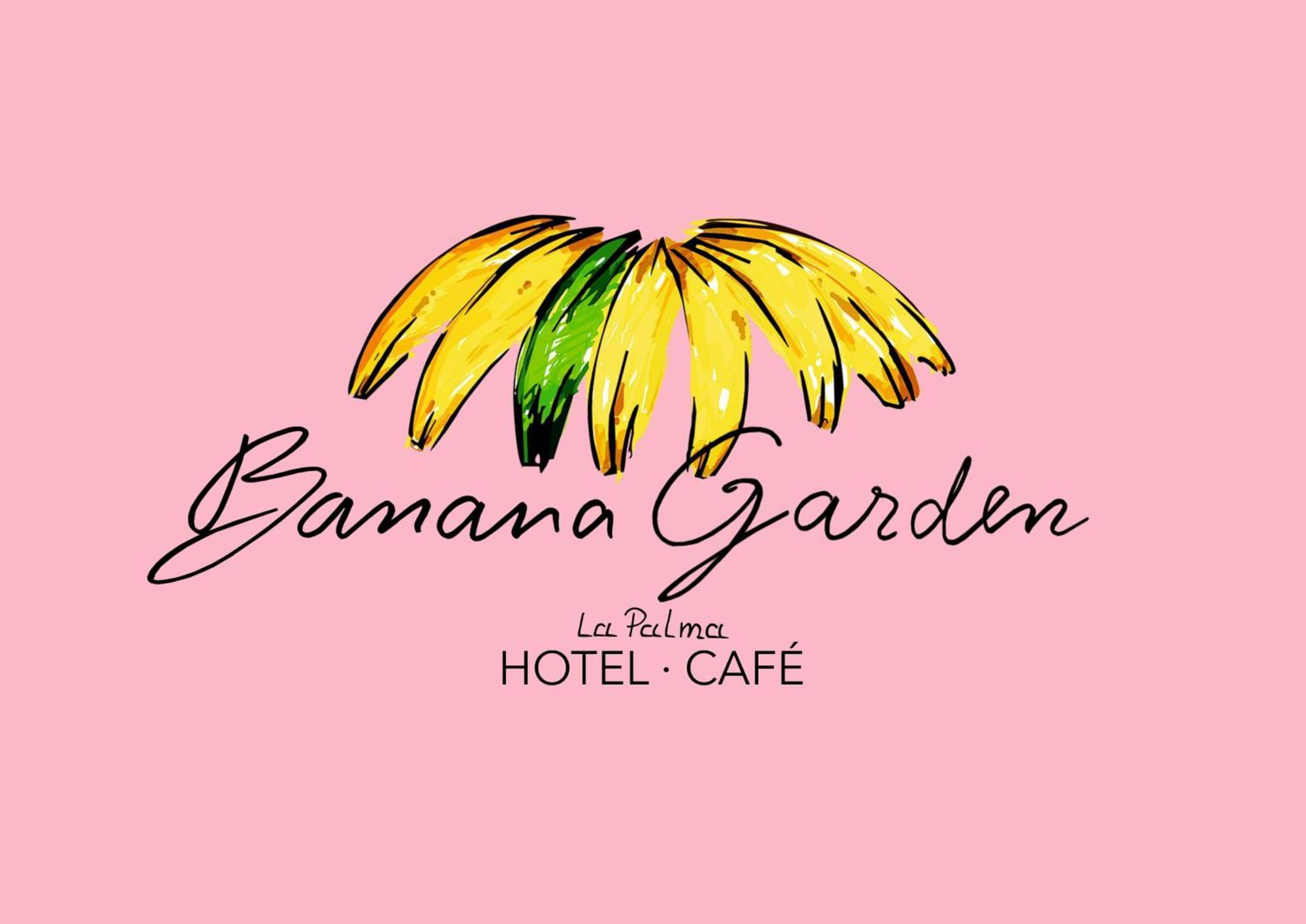 圣克鲁斯-德拉帕尔马 Banana Garden La Palma酒店 外观 照片