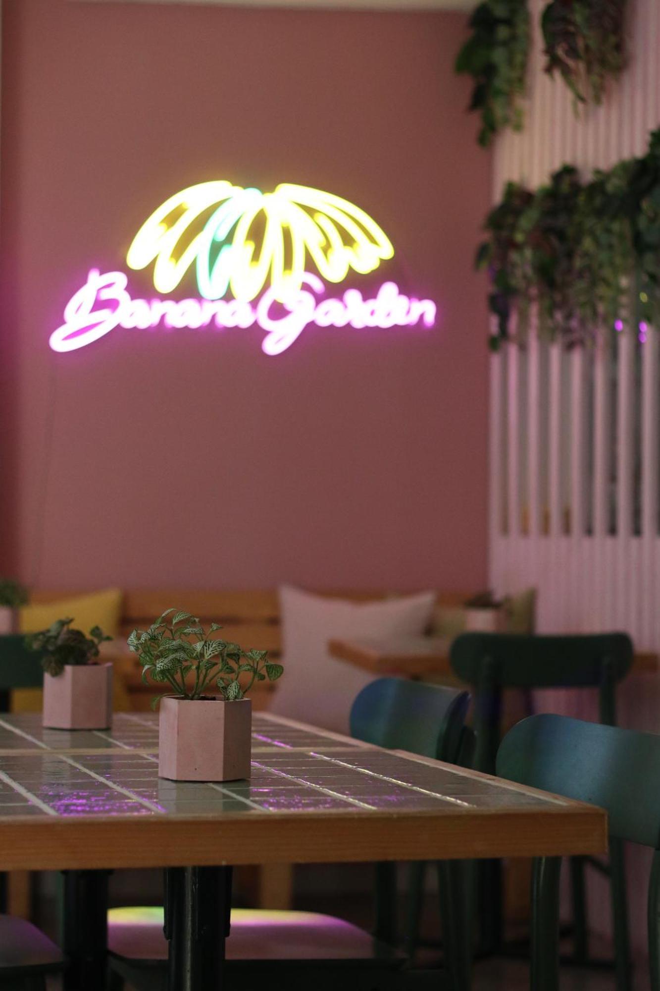 圣克鲁斯-德拉帕尔马 Banana Garden La Palma酒店 外观 照片
